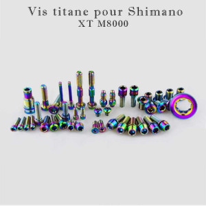 Vis titane Torx diamètre M5 à tête bombée